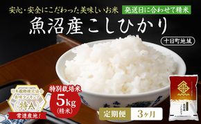 【3ヶ月定期便】特別栽培米 魚沼産こしひかり(十日町地域) 精米 5kg 米 お米 コシヒカリ 定期 十日町市