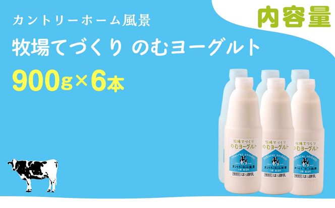 のむヨーグルト 900g ×6 SKB039