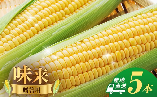 とうもろこし 味来 贈答用 5本 トウモロコシ 宮城県産 甘い 夏 朝採れ 産地直送 宮城県 大河原町