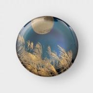 丸小皿 すすき シアンブルー ［NF147］ 303446_CU90068