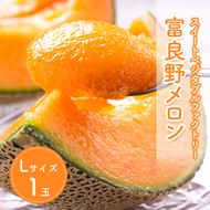 【2026年夏発送】北海道 富良野 メロン Lサイズ 1.3kg以上×1玉 フルーツ 果物