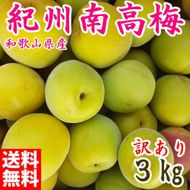 青梅 約3kg 訳あり 紀州南高梅 シロップ・梅酒・梅干し用など 和歌山県有田産 2025年5月下旬～7月上旬発送予定  CE060