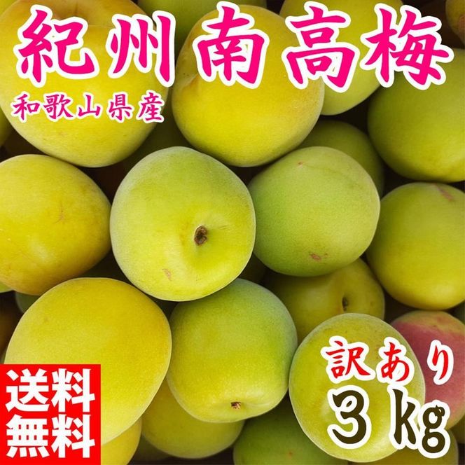 ya̎RLc쒬z~ 3kg 󂠂 IB썂~ VbvE~E~pȂ a̎RLcY 2026N5{`7{\   CE060