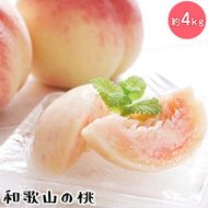 【先行予約】【夏の美味】フルーツ王国 和歌山の桃 約4kg 化粧箱入り | もも モモ 桃 国産 フルーツ 果物 果実 お取り寄せ ギフト デザート スイーツ 贈り物（fr-07）