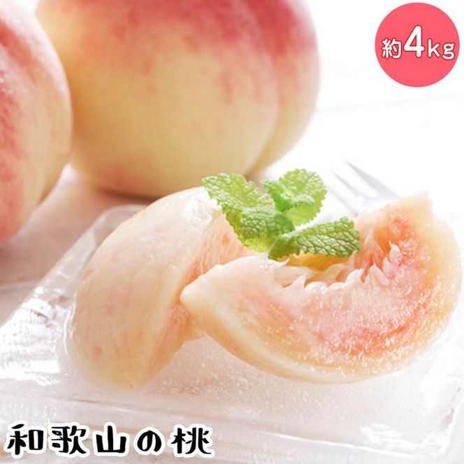 【先行予約】【夏の美味】フルーツ王国 和歌山の桃 約4kg 化粧箱入り | もも モモ 桃 国産 フルーツ 果物 果実 お取り寄せ ギフト デザート スイーツ 贈り物（fr-07）