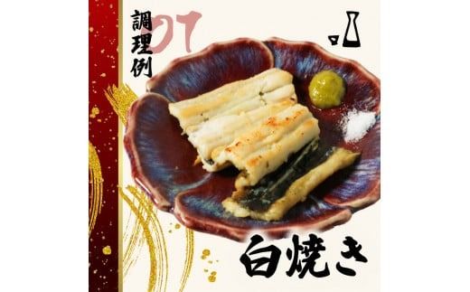 穴子 食べ比べ セット 天然 活〆 穴子開き 味醂ひもの 天然活〆穴子開き(4枚×2パック※1パック160g前後)･天然穴子味醂ひもの(4～6尾×1パック※1パック約80g) 国産 煮穴子 白焼き 蒲焼丼 天ぷら 愛知県 南知多町