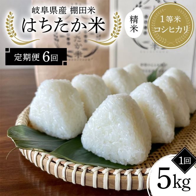 y򕌌Ðszy6ցz򕌌Y Ic 1ăRVqJ ͂ 5kg F4N-2580