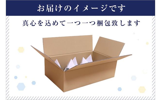 【お試し無洗米】三角おにぎり米　1kg×10個　新潟県魚沼産コシヒカリ　10数年ぶりの復刻パッケージ 米 こしひかり 白米 無洗米 ご飯