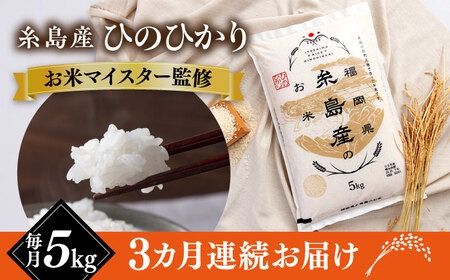 【全3回定期便】【こだわり精米】 糸島産 ひのひかり 5kg 糸島市 / RCF 米 お米マイスター [AVM006]