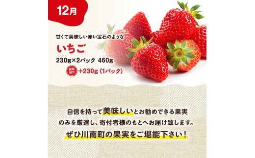 ※期間限定※【3ヶ月定期便】メロンといちごの定期便Vol.1【 川南町産 くだもの メロン いちご イチゴ  】☆[C11710t3]