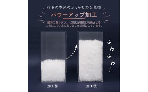 【老舗寝具メーカー監修】匠がつくる羽毛掛けふとん  (シングル) ふとんカバー付（色の選択可能）