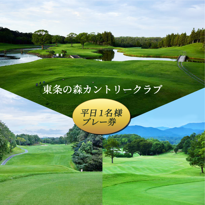 yɌsz̐XJg[Nu  1l v[ ̐XCC [ St s Ɍ ֐ St ] Stꗘp