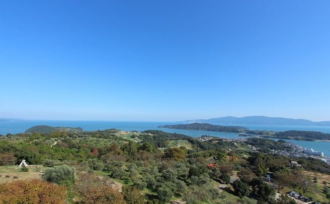 岡山県瀬戸内市　日本旅行　地域限定旅行クーポン90,000円分 宿泊券 チケット 