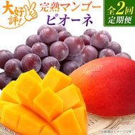 【定期便・全2回】完熟マンゴーとピオーネ定期便（マンゴー 完熟マンゴー アップルマンゴー ブドウ ぶどう 種なし ピオーネ 定期便）
