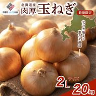 【新規】玉ねぎ 2Lサイズ 20kg