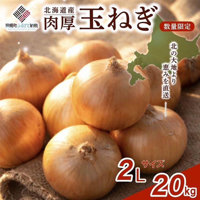 【新規】玉ねぎ 2Lサイズ 20kg