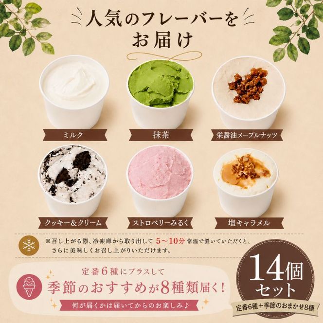 Migelaの人気ジェラート 14個 食べ比べ セット  定番6種＋季節のおまかせ8種  ジェラート アイス デザート Migela 静岡 袋井市