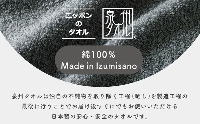 099H3733 濃色カラー バスタオル 2枚（グレー）【泉州タオル 国産 吸水 普段使い シンプル 日用品 家族 ファミリー】