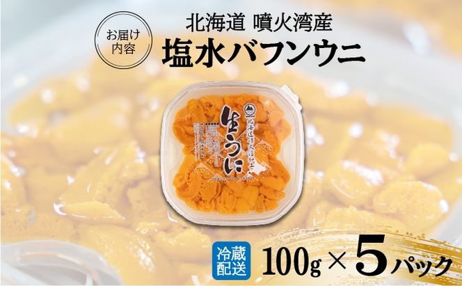 北海道 噴火湾産 塩水 バフンウニ 100g 5パック 計500g うに ウニ 雲丹 海鮮 海の幸 魚介類 ウニ丼 お寿司 濃厚 無添加 産地直送 お取り寄せ 山村水産 送料無料 【55250870】