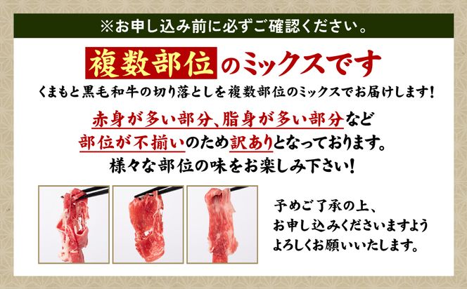 【訳あり】 くまもと黒毛和牛 切り落とし 600g（300g×2） 黒毛和牛 牛肉 和牛 ブランド牛 ブランド和牛 訳あり牛肉 ブランド牛肉 牛肉切り落とし ブランド牛切り落とし 小分け 熊本県産 くまもと 国産 人気 毎月数量限定 