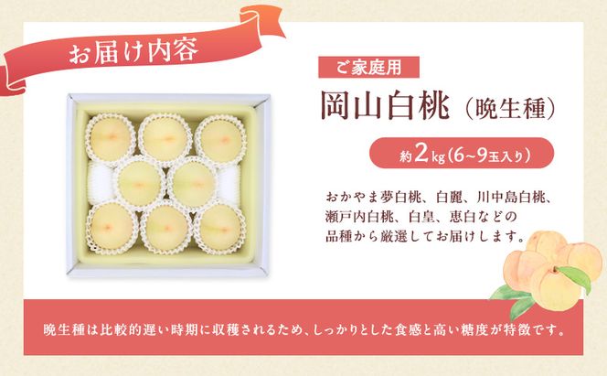 桃 2027年 先行予約 岡山 白桃（晩生種）ご家庭用 約2kg 6～9玉入り もも モモ 岡山県産 国産 フルーツ 果物 直送！せとうちバスケット こだわり 特産品 白い 香り 果汁 シーズン 高糖度