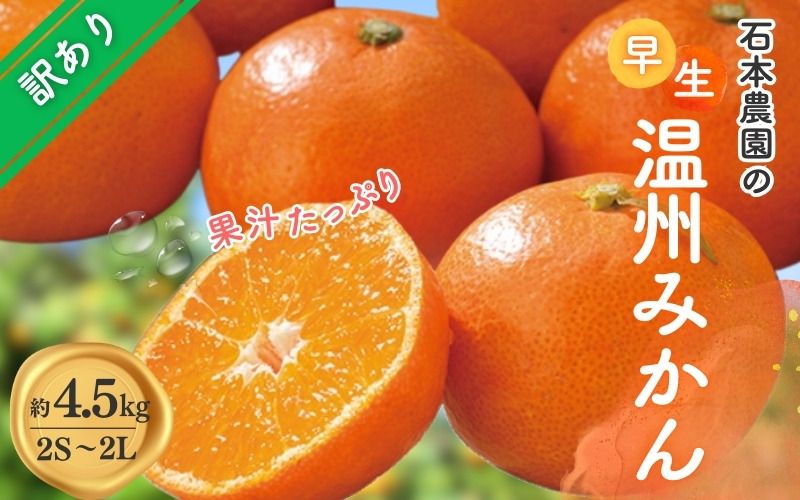 みかん 訳あり 2S-2Lサイズおまかせ 石本農園の早生温州みかん 約4.5kg[11月下旬から12月末頃までに順次発送] / みかん ミカン 蜜柑 早生温州 早生 訳あり おまかせ[mis014B]