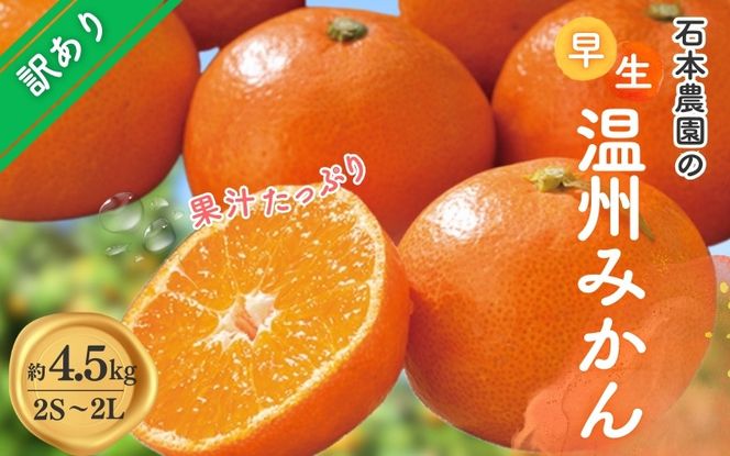 みかん 訳あり 2S-2Lサイズおまかせ 石本農園の早生温州みかん 約4.5kg【11月下旬から12月末頃までに順次発送】 / みかん ミカン 蜜柑 早生温州 早生 訳あり　おまかせ【mis014B】