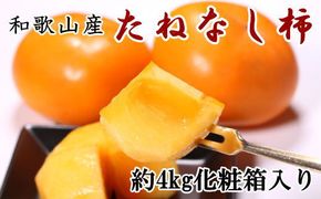 【秋の味覚】和歌山産のたねなし柿2L～4Lサイズ約4kg（化粧箱入り）【tec409A】