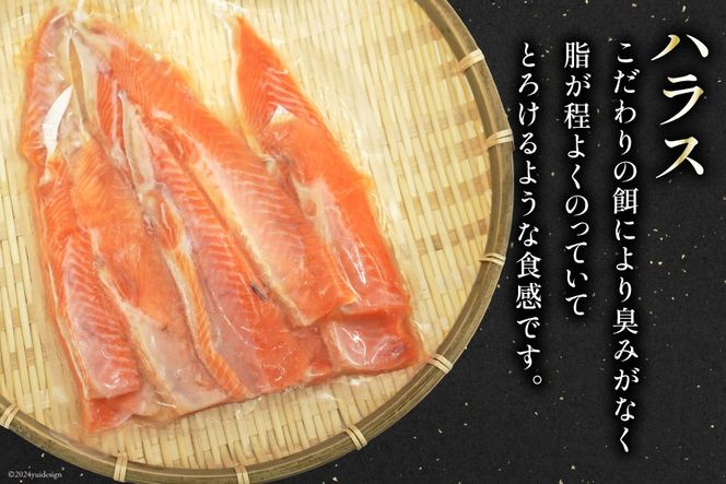 鮭 銀鮭 ハラス かま セット 各500g 計 1kg [南三陸さんさんマルシェ 宮城県 南三陸町 30ai0053] 国産 冷凍 カマ 切身 しゃけ シャケ さかな 魚 サケ さけ 魚介類 魚介 海鮮