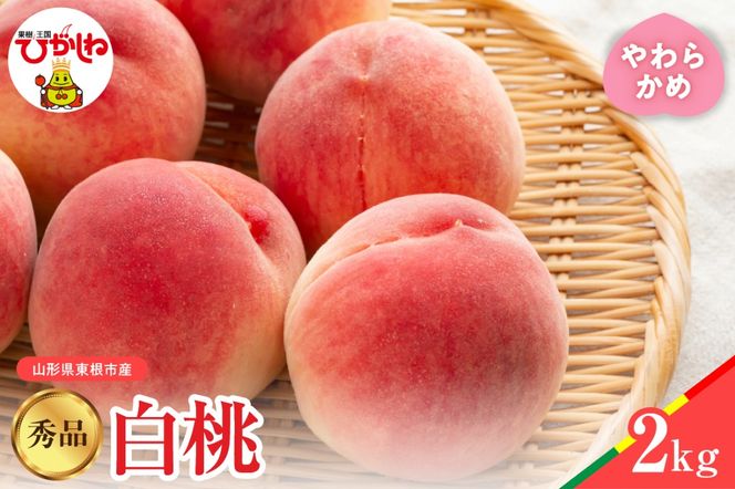 【2026年産】白桃 品種おまかせ 秀品2kg(やわらかめ) 松栗提供 山形県 東根市 hi062-057