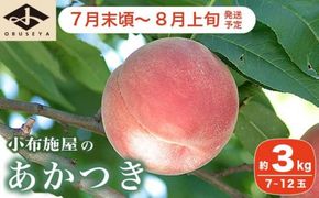 あかつき 約3kg 7～12玉 ［小布施屋］ 桃 もも モモ フルーツ 果物 令和8年産 【2026年7月末頃～8月上旬発送】