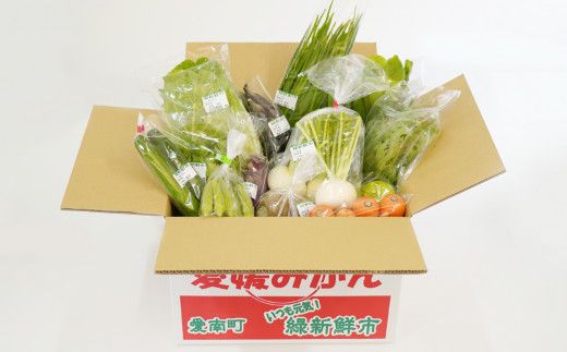取りたて新鮮！旬の野菜詰め合わせセット