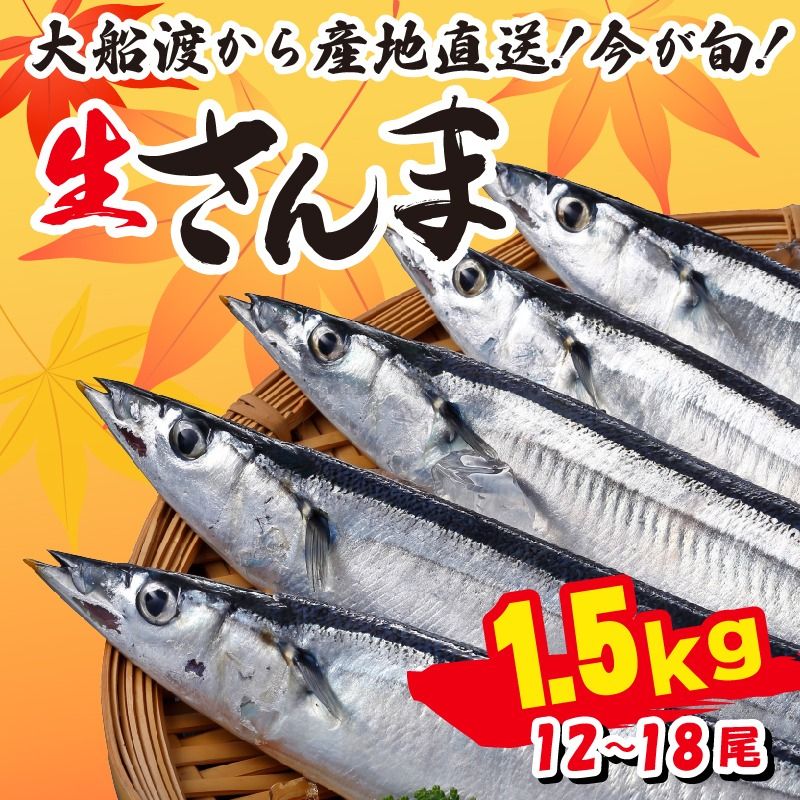 さんま 約1.5kg 12尾〜18尾 冷蔵 鮮秋刀魚 期間限定 発送期日2024年9月〜2024年11月下旬 三陸 岩手 大船渡市 [kama015]