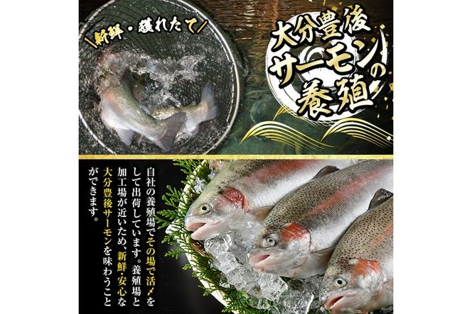 大分豊後サーモン フィレ(350g以上) 魚 鮮魚 刺身 さしみ 冷凍 佐伯 養殖 国産 大分県 佐伯市【EA27】【(株)トーワ】