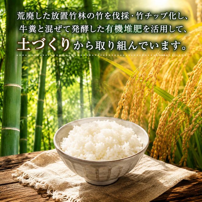 【定期便6回】令和8年産新米 有機堆肥栽培米 こしひかり 摩氣米 5kg コシヒカリ 精米 白米 米 コメ お米 おこめ ご飯 ごはん 京都 令和8年 5キロ 新米 新米26