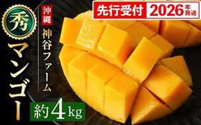 【化粧箱入】【先行受付・2026年発送】神谷ファームのマンゴー（秀）約4kg - 先行予約 沖縄県産 産地直送 南国フルーツ 旬の味覚 季節の果物 贈り物 ギフト 沖縄県 八重瀬町