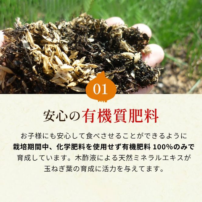 今井ファームの淡路島たまねぎ「かくし玉」 5kg　玉ねぎ