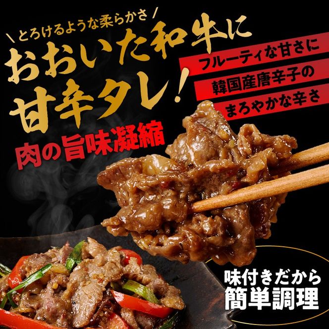 【おおいた和牛】タレ漬け焼肉 200g×3p_2747R