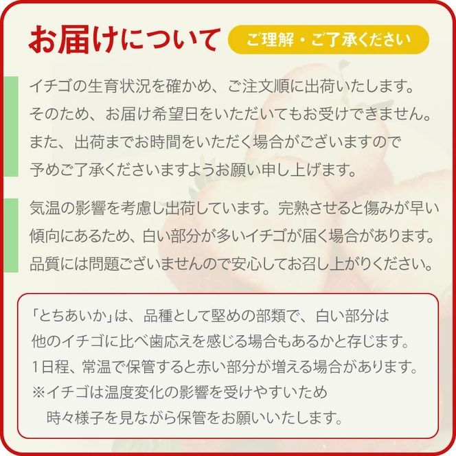 いちご とちあいか 19粒～23粒入【栃木県共通返礼品】 | いちご イチゴ 苺 とちあいか 生いちご 高級いちご 季節の果物 栃木県産 国産 農家直送 ギフト プレゼント お祝い お返し いちごギフト ※2026年12月～発送
