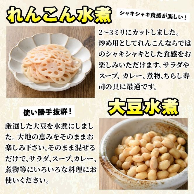 たけのこ・れんこん・大豆の水煮(合計10袋)国産 九州産 筍 水煮 蓮根 野菜 使い切り 小分け 個包装【上野食品】akn008-17