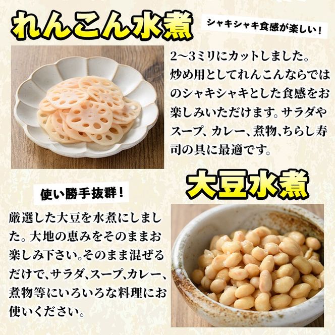 たけのこ・れんこん・大豆の水煮(合計10袋)国産 九州産 筍 水煮 蓮根 野菜 使い切り 小分け 個包装【上野食品】a-12-200-z