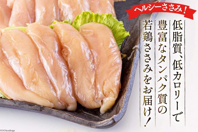 鶏肉 宮崎県産若鶏ささみ1kg×2 計2kg [アグリ産業匠泰 宮崎県 美郷町 31be0039] 冷凍 小分け 個包装 ささみ ササミ 鶏 鶏ささみ 鶏ササミ 若鶏 とりにく 鳥肉