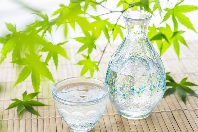 TheSAGA認定酒 純米吟醸酒おまかせ2本 定期便12回【佐賀認定酒 720ml 佐賀 佐賀ん酒 日本酒 冷酒 熱燗 飲み比べ 贈答】(H072197)