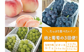 【2026年先行予約】たっぷり食べたい！桃とピオーネ、シャインマスカットが届く３回便 (岡山県産)【KF-T023-02】
