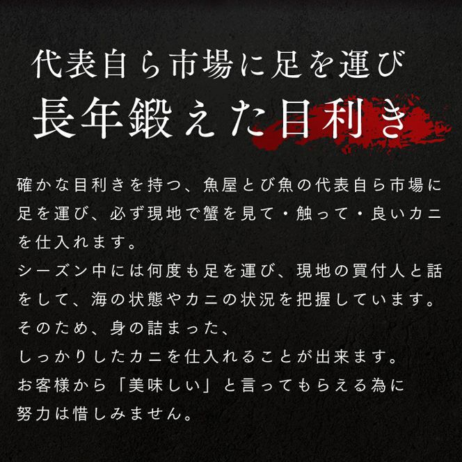 せいこがに メス 5杯 茹で ズワイガニ かに かにみそ ボイルカニ ボイル 魚介類 冷蔵