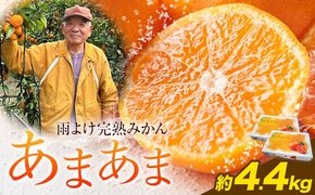 雨よけ完熟みかん「あまあま」 約4.4kg　正木久之《12月下旬-1月中旬》徳島県 佐那河内村 みかん ミカン 蜜柑 柑橘 箱入り 化粧箱 フルーツ 果物 くだもの 贈答【配送不可地域あり】※離島不可---sanagouchi_mhy_2_2hk---