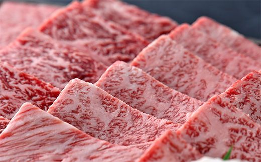 【4等級以上】近江牛 焼肉用肩ロース【 500g】【AB04W】