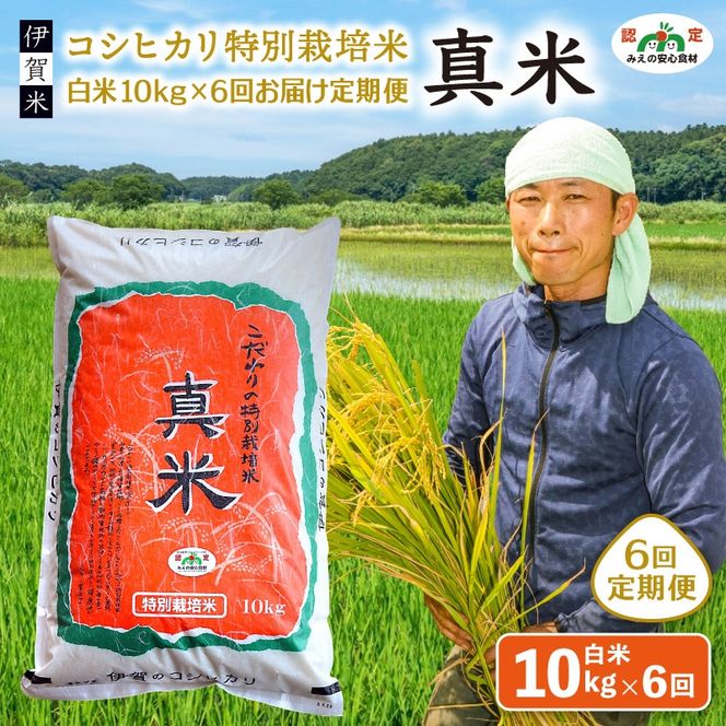 伊賀米コシヒカリ特別栽培米「真米」白米10kg×6回お届け定期便【ymnk-tkb0004】