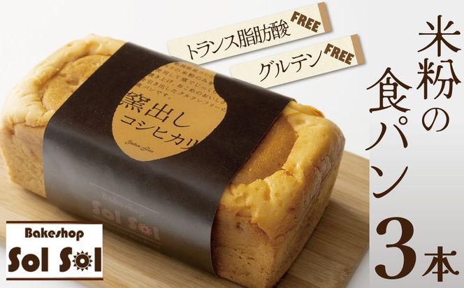 グルテンフリー 米粉食パン 窯出しコシヒカリ 3本 H083-024