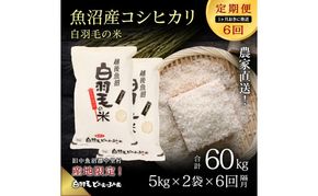 【通年受付】≪令和8年産≫【定期便／1ヶ月おき全6回】農家直送！魚沼産コシヒカリ「白羽毛の米」精米 (5kg×2袋)×6回 60kg お米